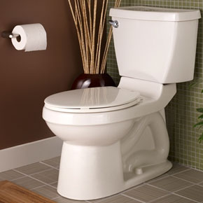 Low Flow Toilet Basins