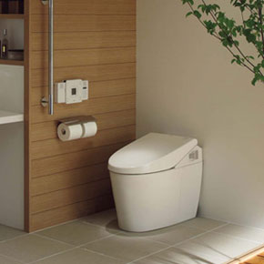 Tankless Toilet Basins